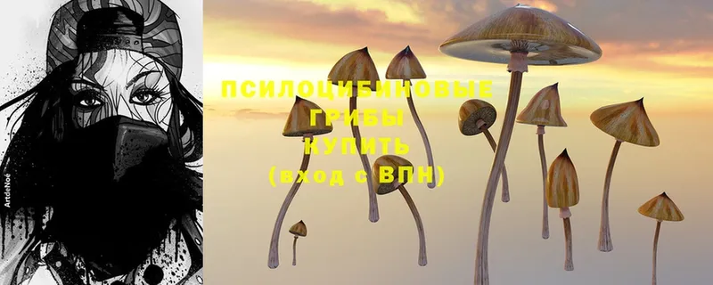 Галлюциногенные грибы Magic Shrooms  Дмитриев 